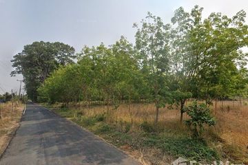 Land for sale in Krachai, Yasothon