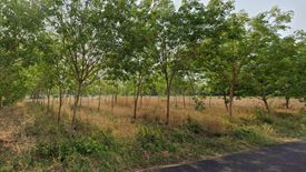 Land for sale in Krachai, Yasothon