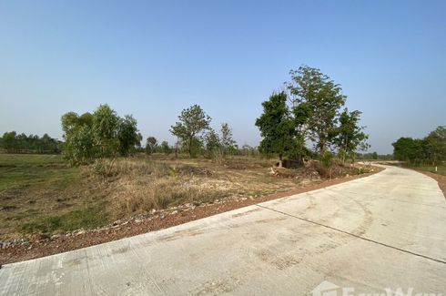 Land for sale in Saphan Hin, Chainat