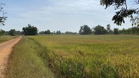 Land for sale in Saphan Hin, Chainat