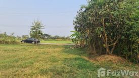 Land for sale in Sam Ruean, Ratchaburi