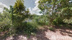 Land for sale in Sam Phrao, Udon Thani