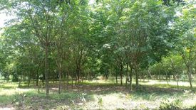 Land for sale in Nong Phrong, Prachin Buri