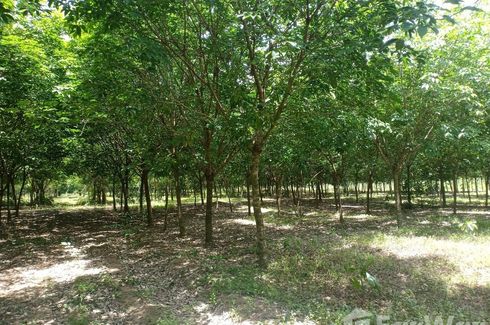 Land for sale in Nong Phrong, Prachin Buri