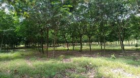 Land for sale in Nong Phrong, Prachin Buri