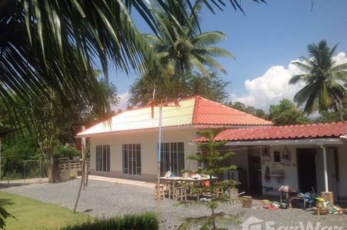 3 Bedroom House for sale in Pa O Don Chai, Chiang Rai