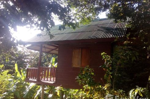 1 Bedroom House for rent in The Ocean Phangan Homestay, Ban Tai, Surat Thani