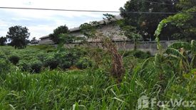 Land for sale in Chok Chai, Nakhon Ratchasima