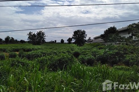 Land for sale in Chok Chai, Nakhon Ratchasima