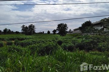 Land for sale in Chok Chai, Nakhon Ratchasima