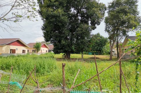 Land for sale in Ban Pho, Nakhon Ratchasima