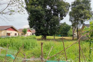 Land for sale in Ban Pho, Nakhon Ratchasima