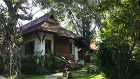 3 Bedroom House for sale in Umong, Lamphun