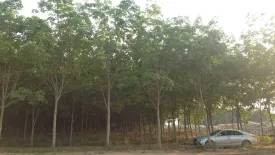 Land for sale in Wiang, Chiang Rai