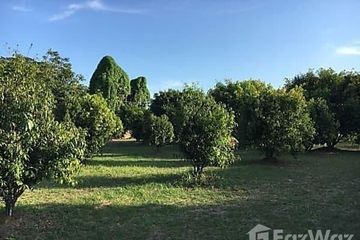 Land for sale in Phrommani, Nakhon Nayok