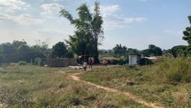 Land for sale in Na Sao, Loei