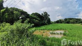 Land for sale in Muang Ngam, Saraburi