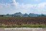 Land for sale in Tha Makham, Kanchanaburi