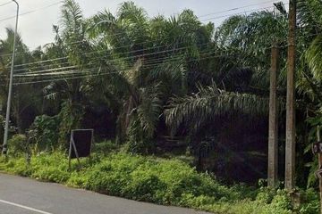 Land for sale in Bo Saen, Phang Nga