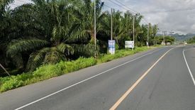 Land for sale in Bo Saen, Phang Nga