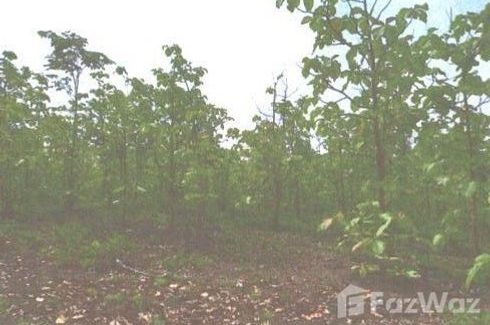 Land for sale in Mueang Phan, Chiang Rai