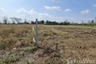 Land for sale in Huai Chot, Sa Kaeo