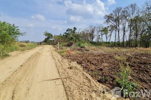 Land for sale in Huai Chot, Sa Kaeo