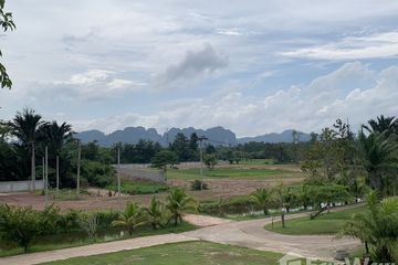 Land for sale in Krabi Noi, Krabi