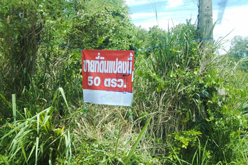 Land for sale in Phlu Ta Luang, Chonburi