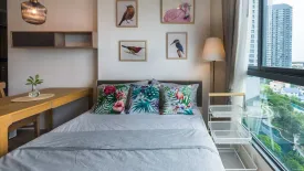 Condo for rent in IDEO O2, Bang Na, Bangkok near BTS Bang Na