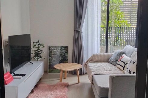 1 Bedroom Condo for rent in Noble Ambience Sukhumvit 42, Phra Khanong, Bangkok near BTS Ekkamai