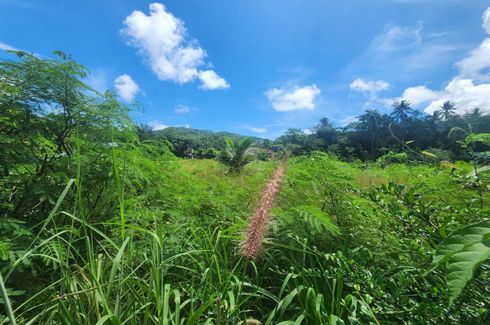 Land for sale in Chalong, Phuket