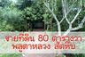 Land for sale in Phlu Ta Luang, Chonburi