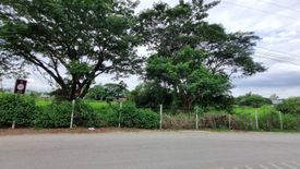 Land for sale in Nong Chom, Chiang Mai