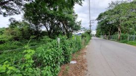 Land for sale in Nong Chom, Chiang Mai