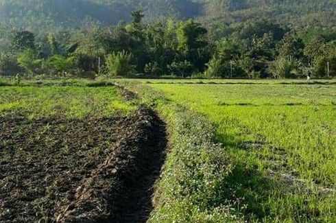 Land for sale in Ban Luang, Chiang Mai