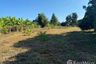 Land for sale in Mae Faek Mai, Chiang Mai