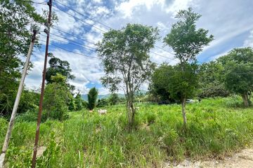 Land for sale in Thung Pi, Chiang Mai