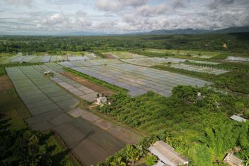 Land for sale in Ban Mae, Chiang Mai