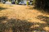 Land for sale in Nong Khwai, Chiang Mai