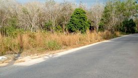 Land for sale in Choeng Thale, Phuket