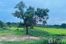 Land for sale in Chi Thuan, Ubon Ratchathani
