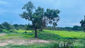 Land for sale in Chi Thuan, Ubon Ratchathani