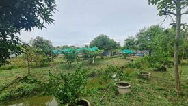 Land for sale in Khlong Ha, Pathum Thani