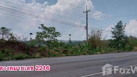 Land for sale in Nam Nao, Phetchabun