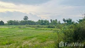 Land for sale in Chi Thuan, Ubon Ratchathani