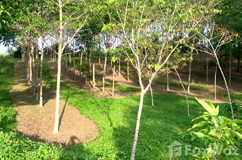 Land for sale in Choeng Thale, Phuket