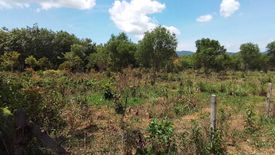 Land for sale in Thep Krasatti, Phuket