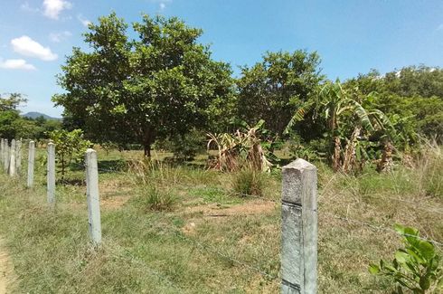 Land for sale in Thep Krasatti, Phuket