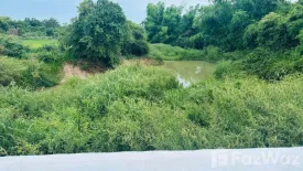 Land for sale in Chi Thuan, Ubon Ratchathani